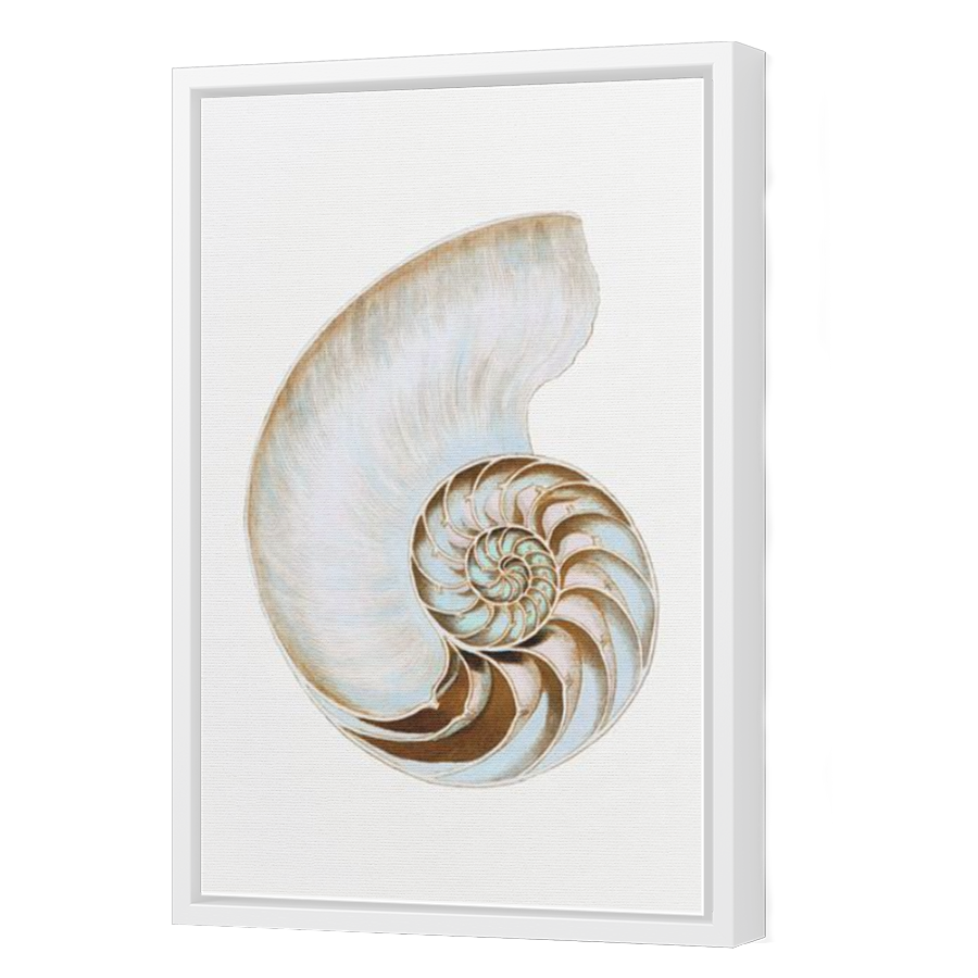 Thumbnail for Canvas - White Floating Frame