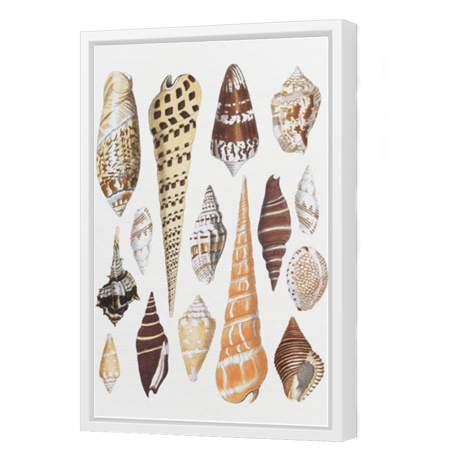 Thumbnail for Canvas - White Floating Frame