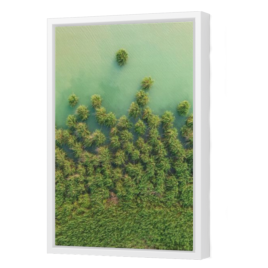 Thumbnail for Canvas - White Floating Frame