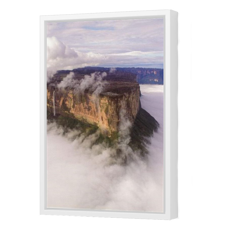 Thumbnail for Canvas - White Floating Frame