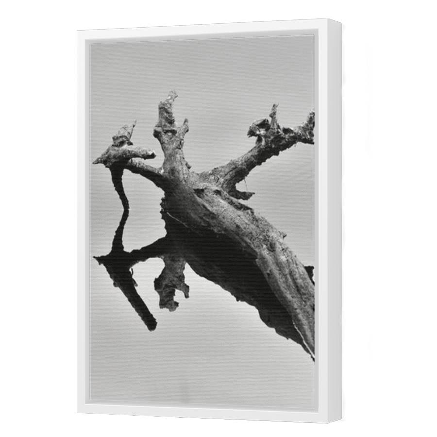 Thumbnail for Canvas - White Floating Frame