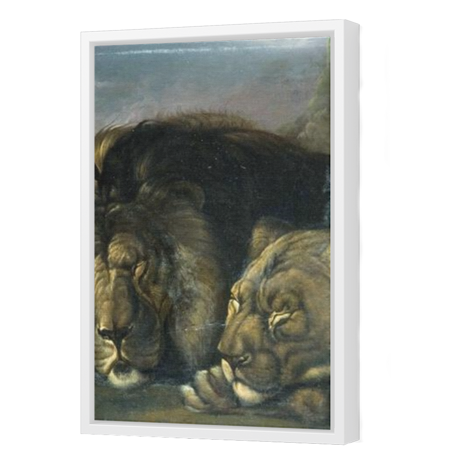 Thumbnail for Canvas - White Floating Frame