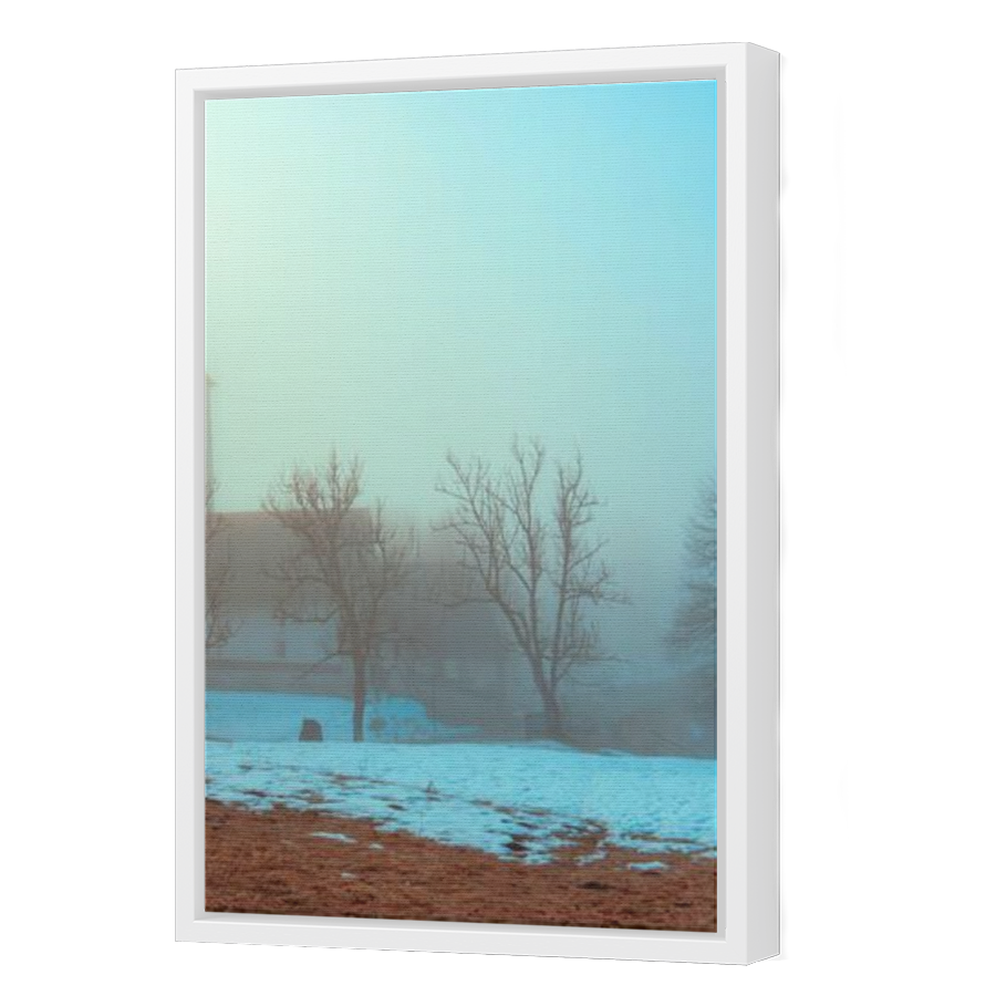 Thumbnail for Canvas - White Floating Frame