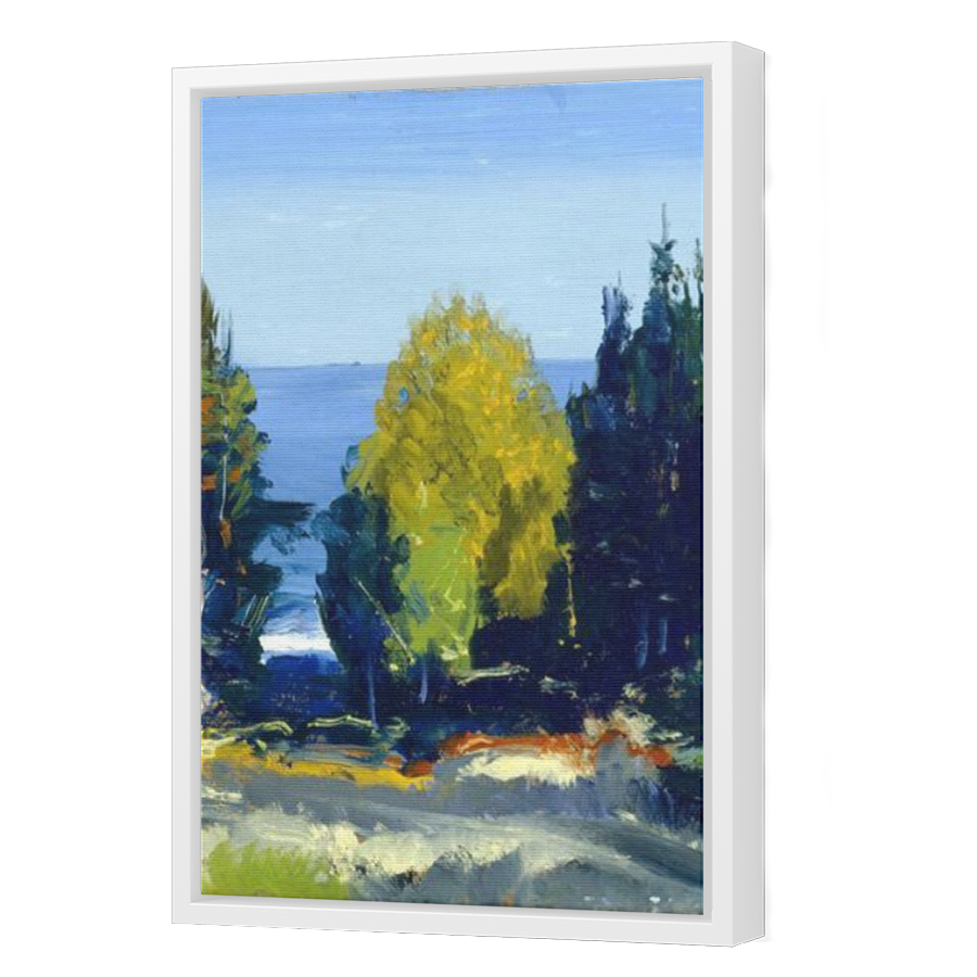 Thumbnail for Canvas - White Floating Frame