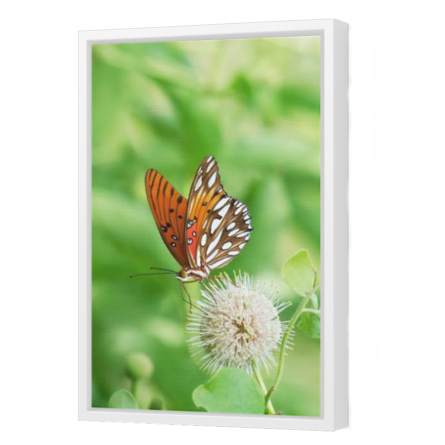 Thumbnail for Canvas - White Floating Frame