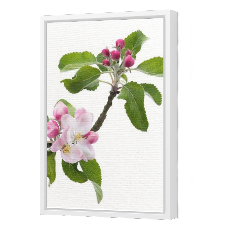 Thumbnail for Canvas - White Floating Frame