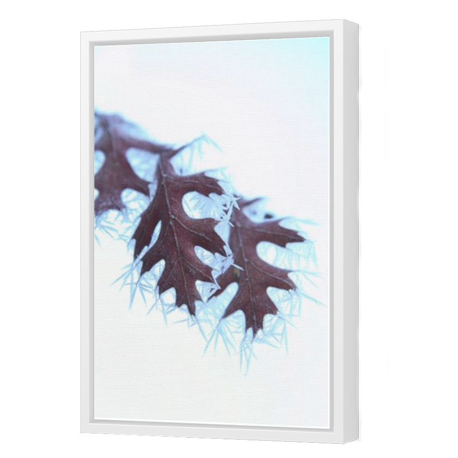 Thumbnail for Canvas - White Floating Frame