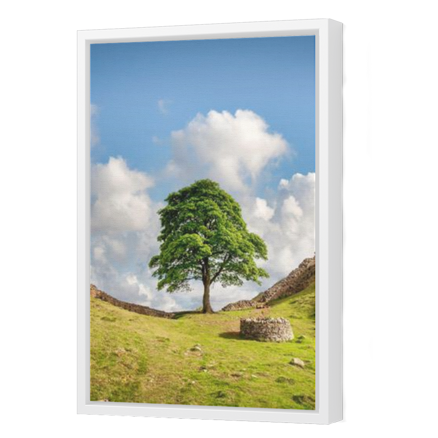 Thumbnail for Canvas - White Floating Frame