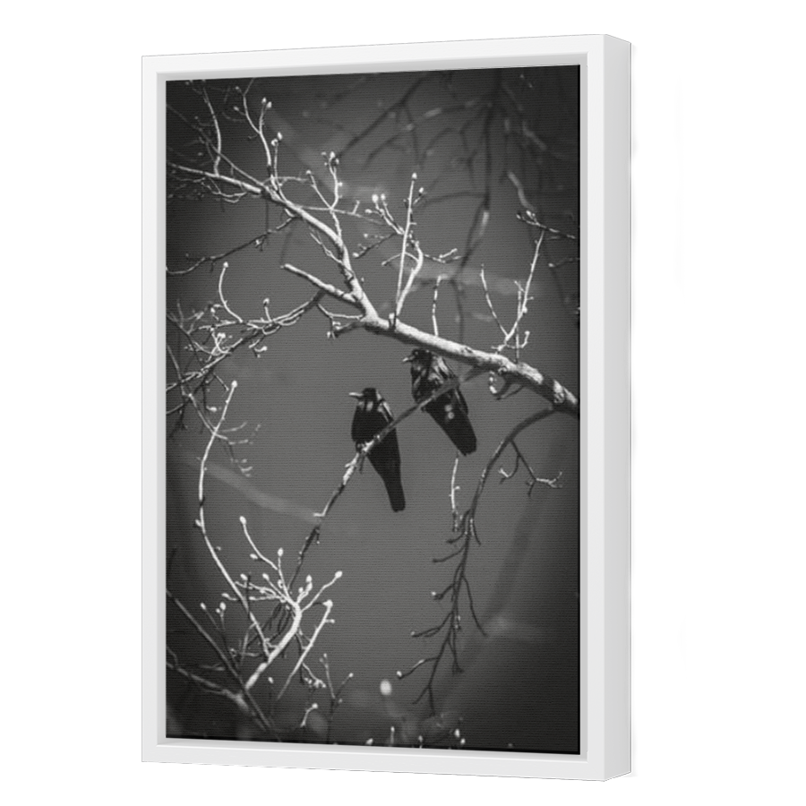 Thumbnail for Canvas - White Floating Frame