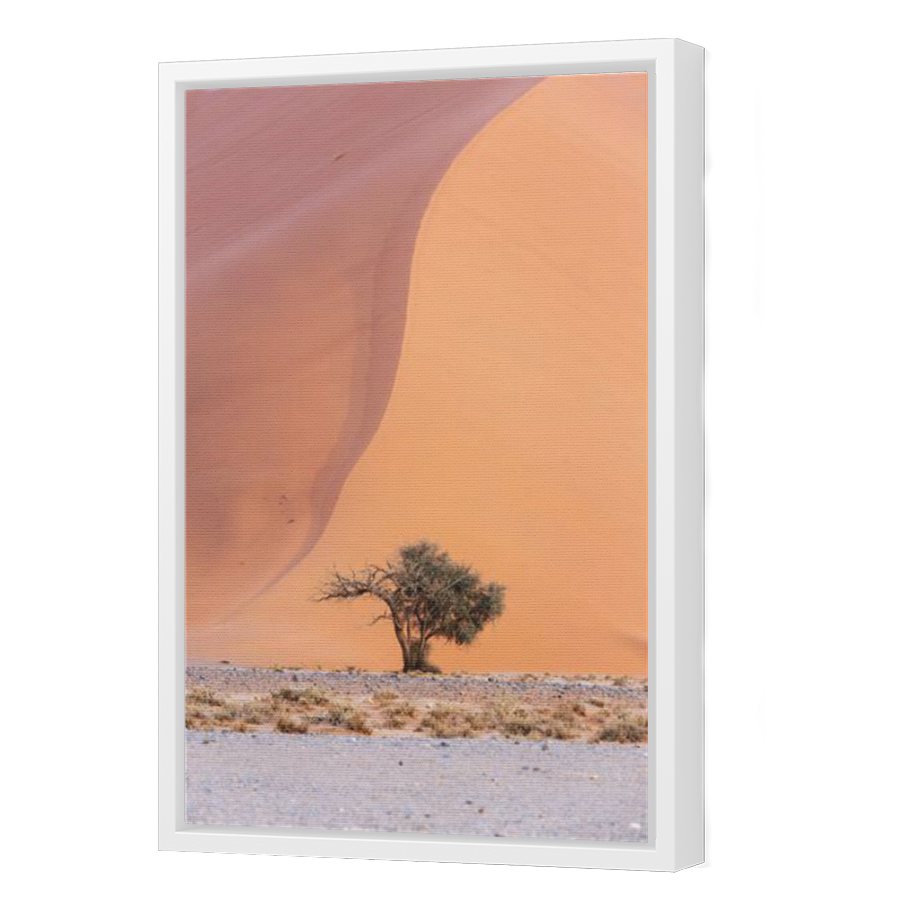 Thumbnail for Canvas - White Floating Frame