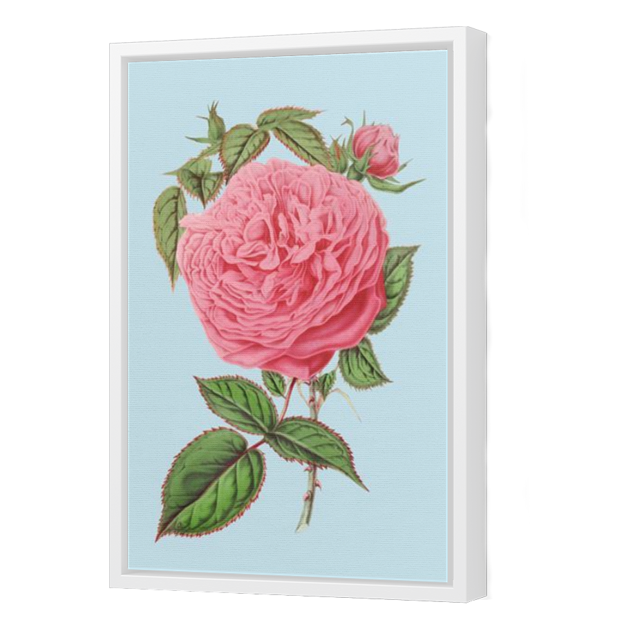 Thumbnail for Canvas - White Floating Frame