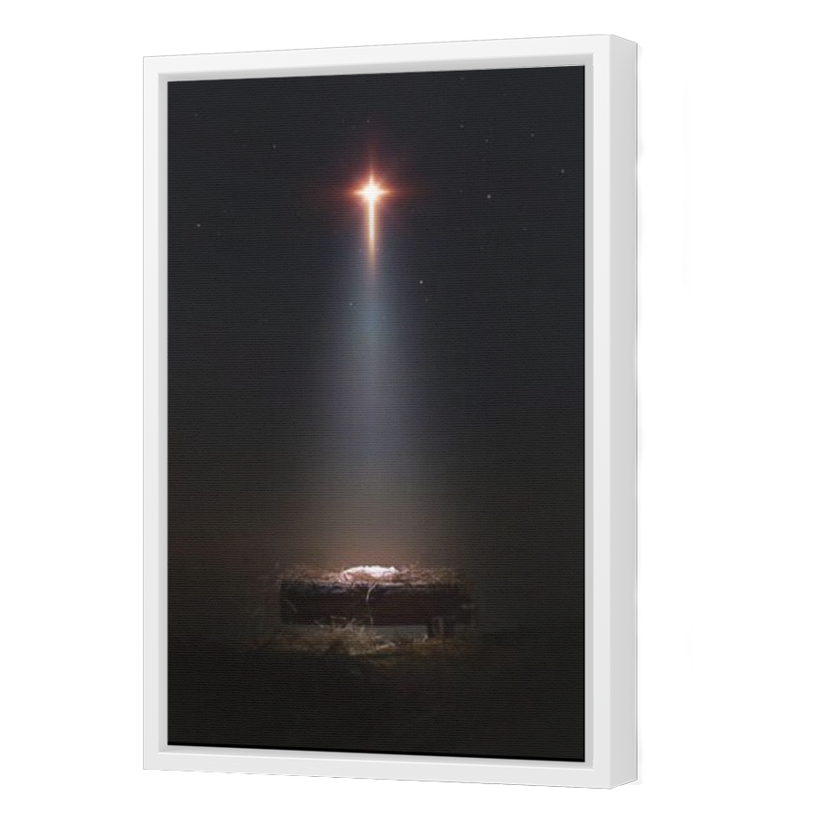 Thumbnail for Canvas - White Floating Frame