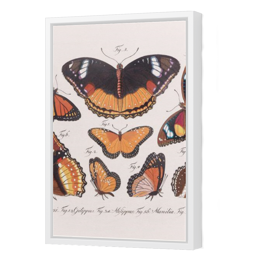 Thumbnail for Canvas - White Floating Frame