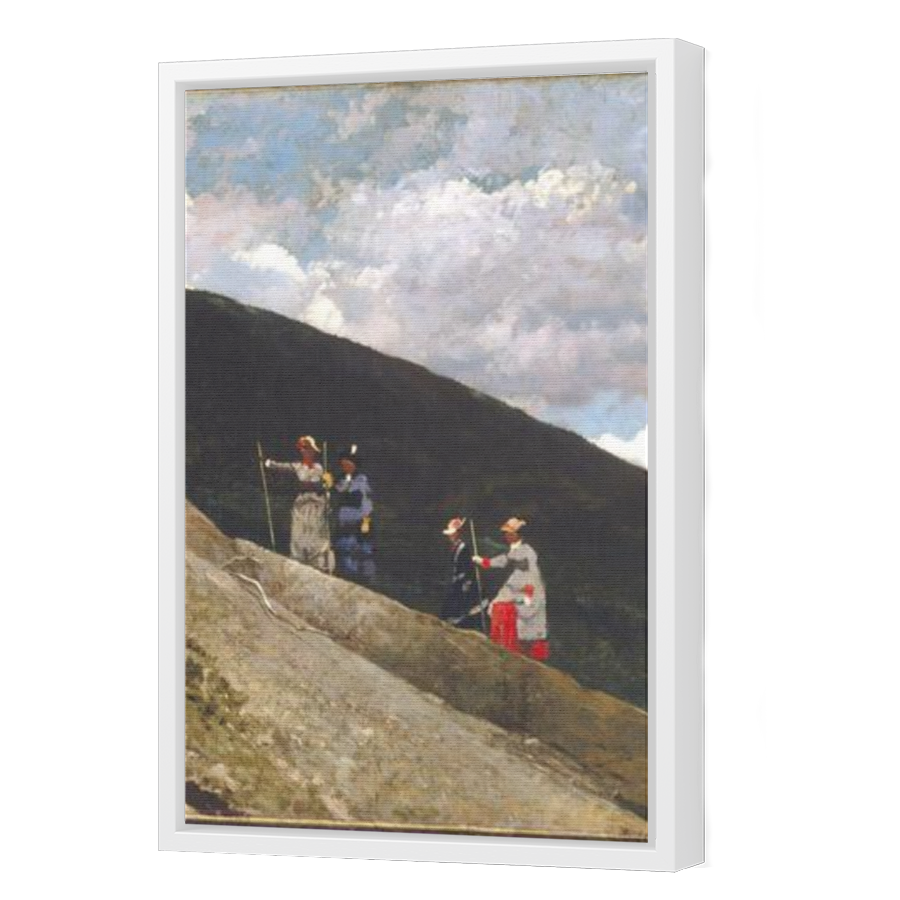 Thumbnail for Canvas - White Floating Frame