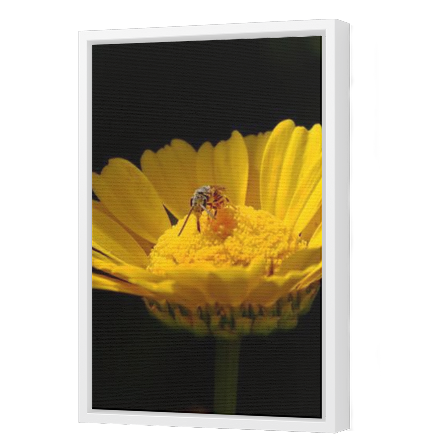 Thumbnail for Canvas - White Floating Frame