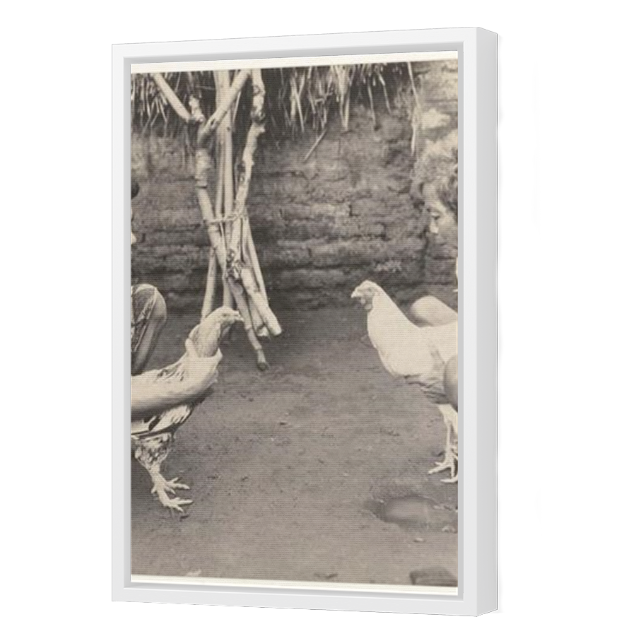 Thumbnail for Canvas - White Floating Frame