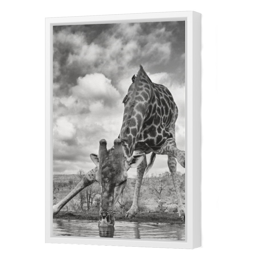 Thumbnail for Canvas - White Floating Frame