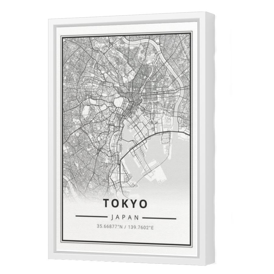 Thumbnail for Canvas - White Floating Frame