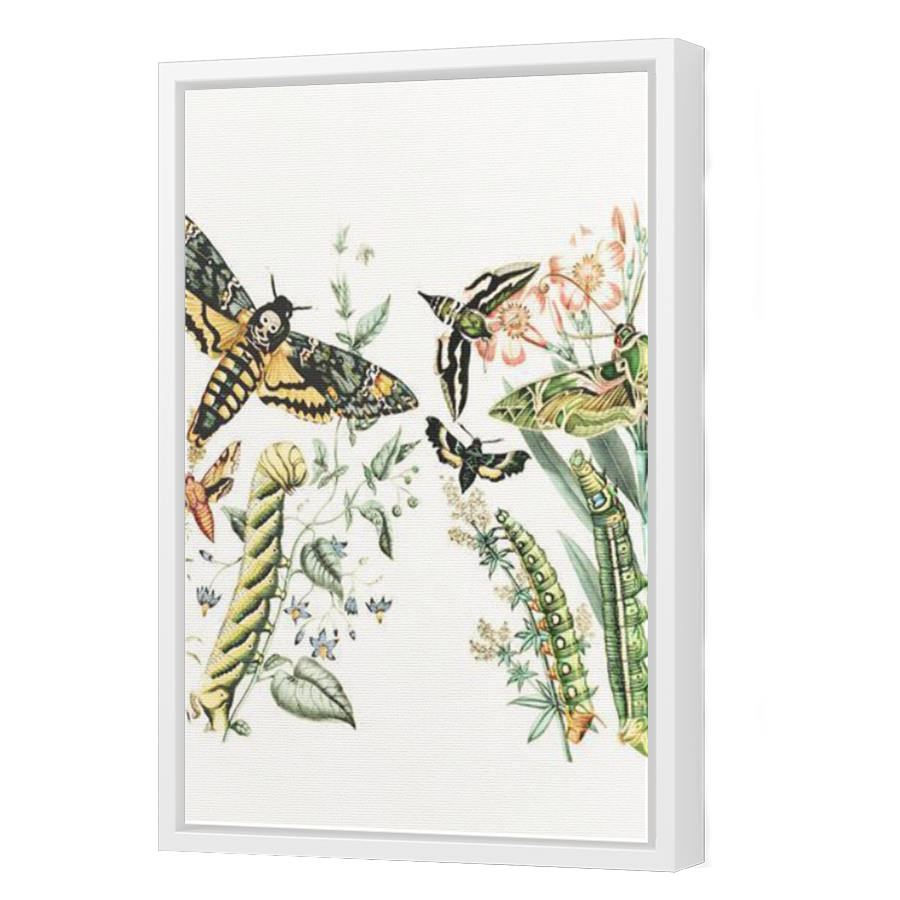 Thumbnail for Canvas - White Floating Frame