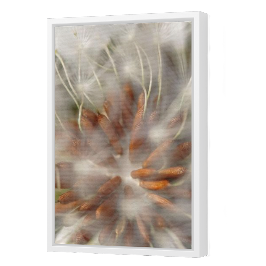Thumbnail for Canvas - White Floating Frame