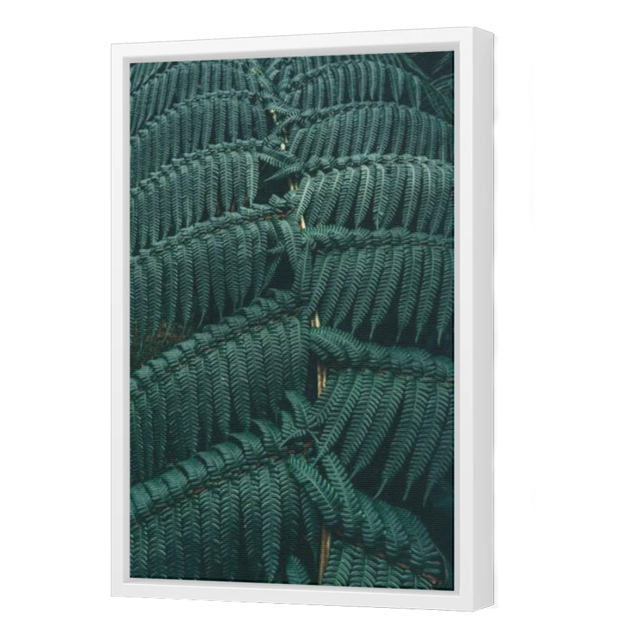 Thumbnail for Canvas - White Floating Frame