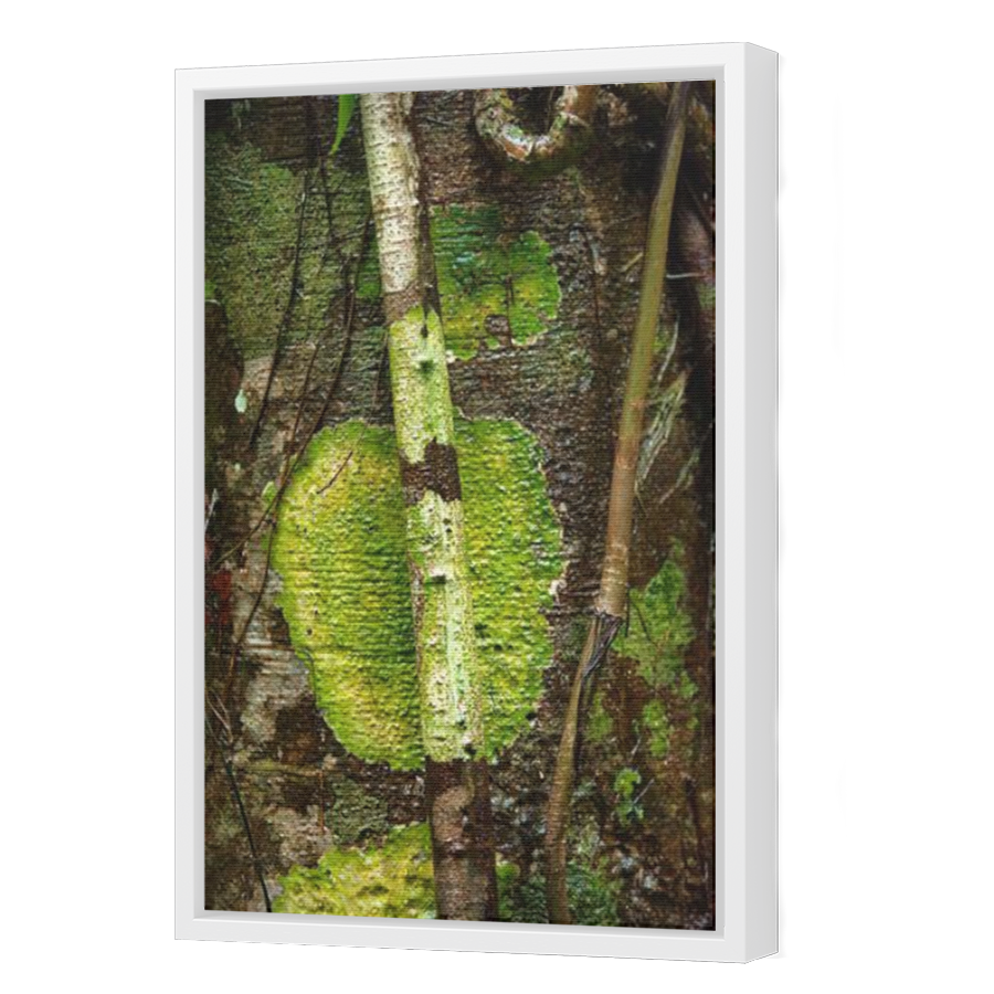 Thumbnail for Canvas - White Floating Frame