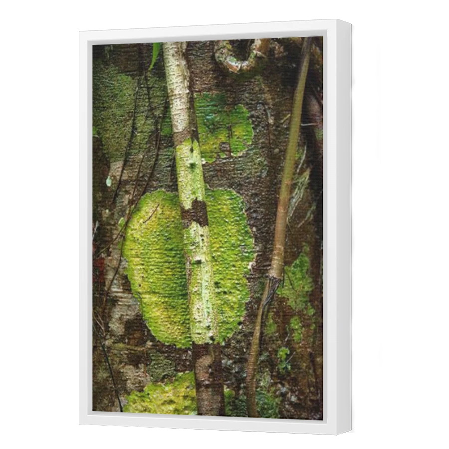 Thumbnail for Canvas - White Floating Frame