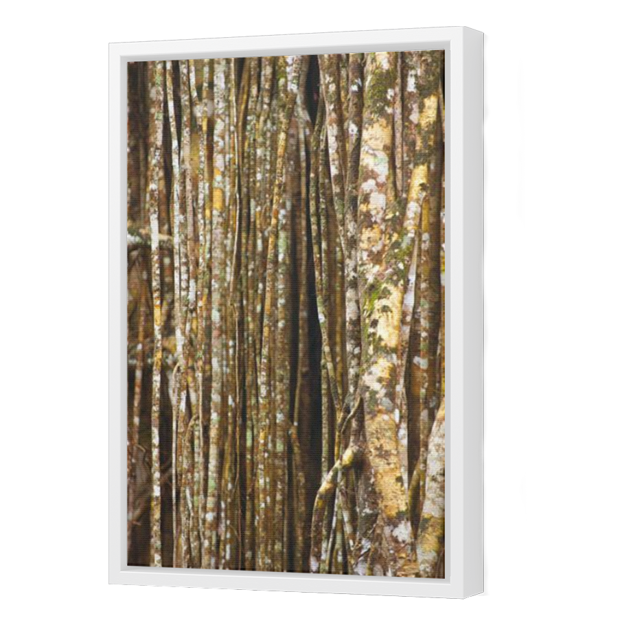 Thumbnail for Canvas - White Floating Frame