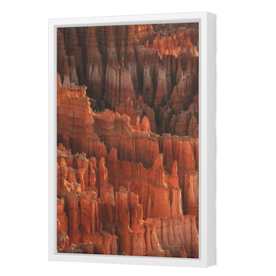 Thumbnail for Canvas - White Floating Frame