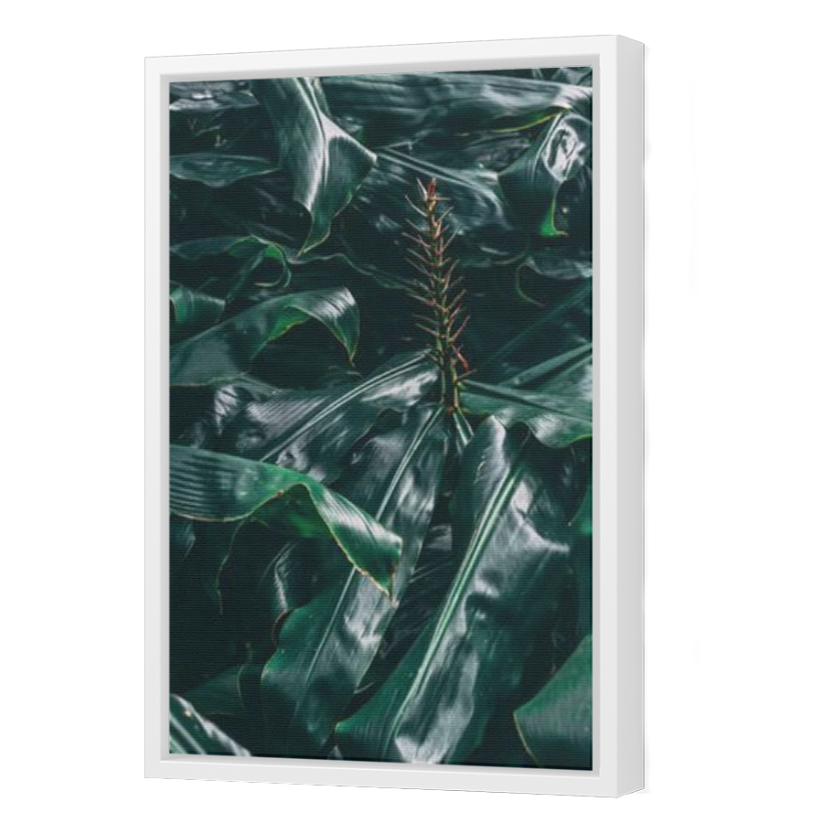 Thumbnail for Canvas - White Floating Frame