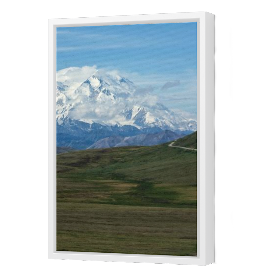 Thumbnail for Canvas - White Floating Frame