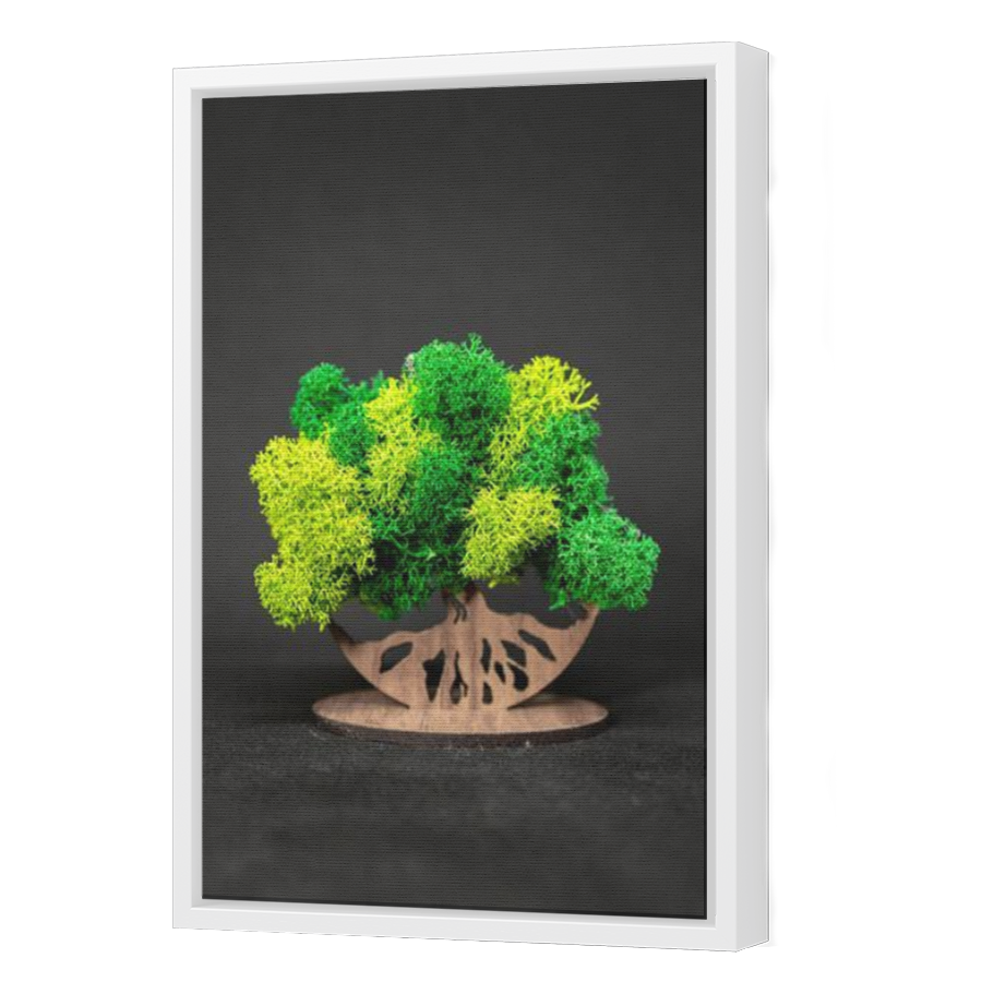 Thumbnail for Canvas - White Floating Frame
