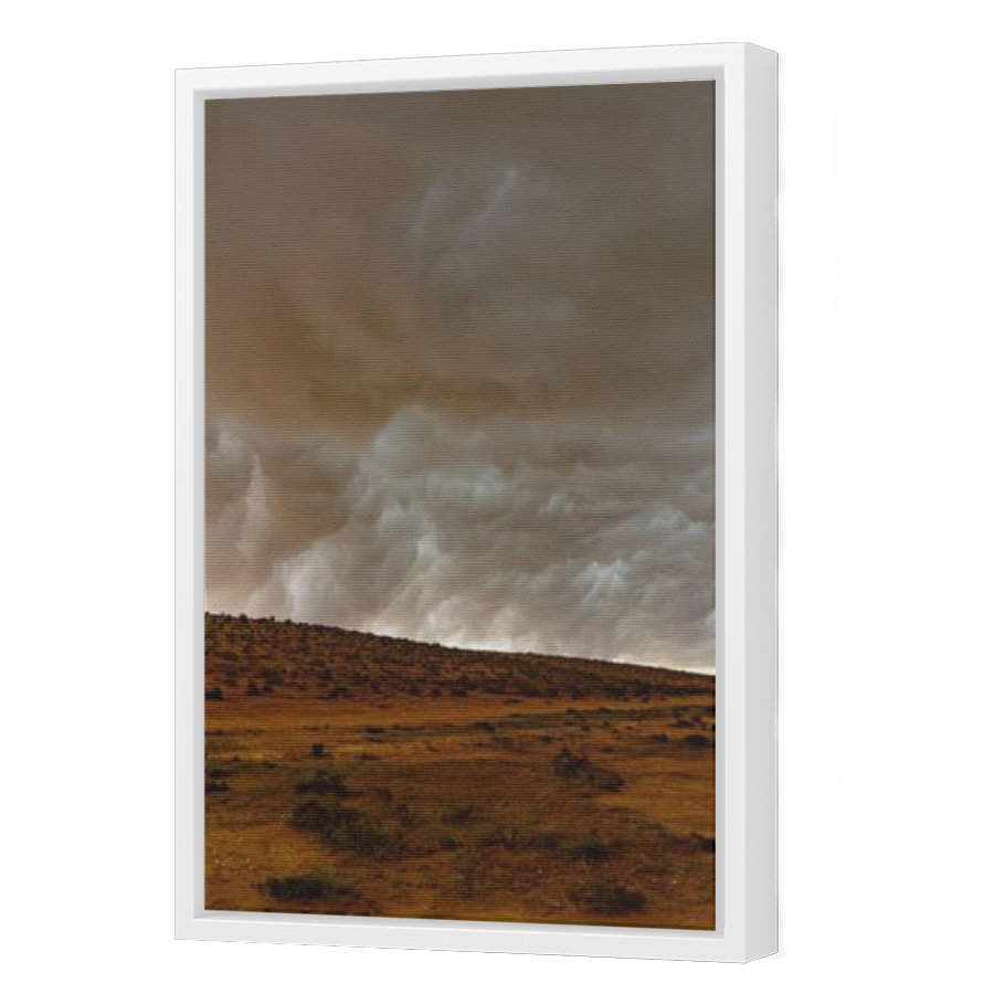 Thumbnail for Canvas - White Floating Frame