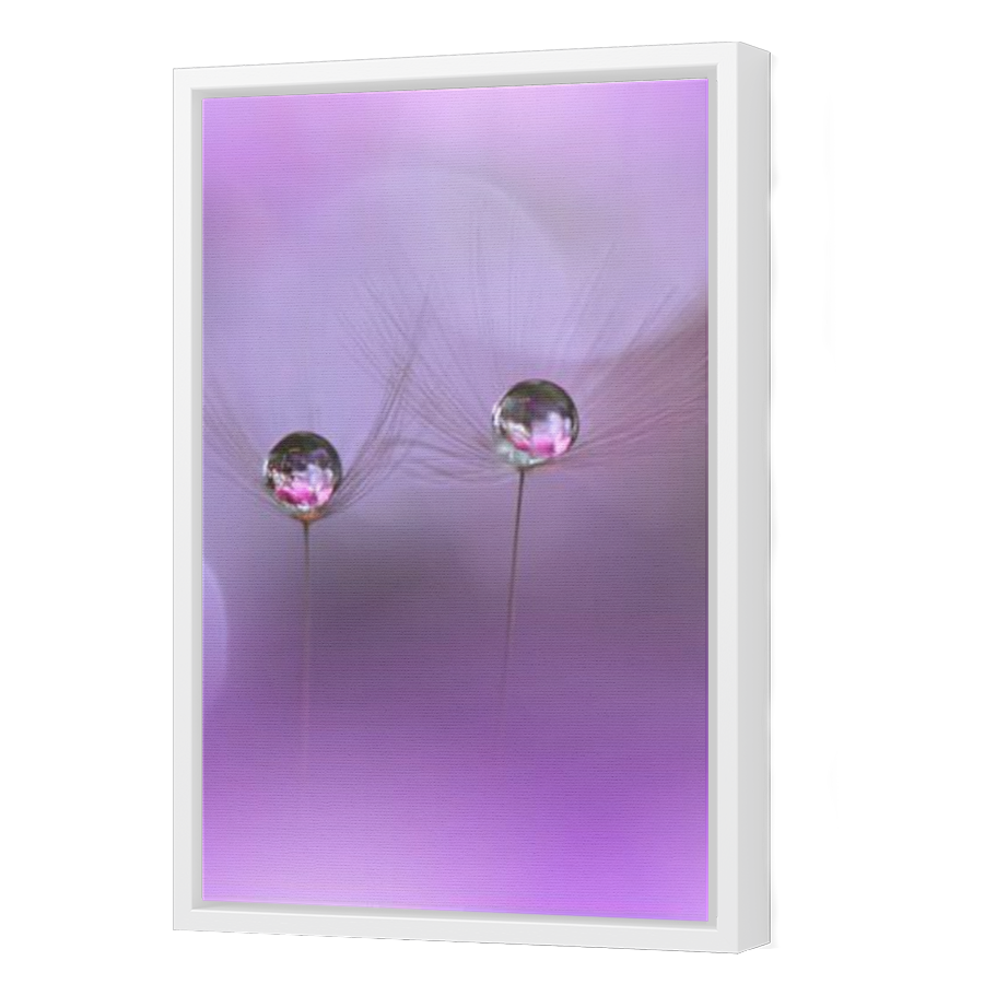 Thumbnail for Canvas - White Floating Frame
