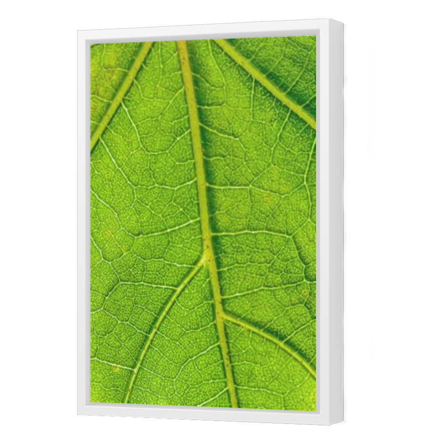 Thumbnail for Canvas - White Floating Frame