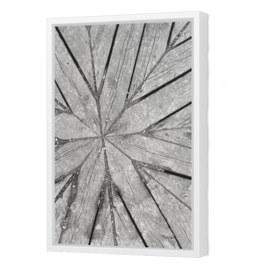 Thumbnail for Canvas - White Floating Frame