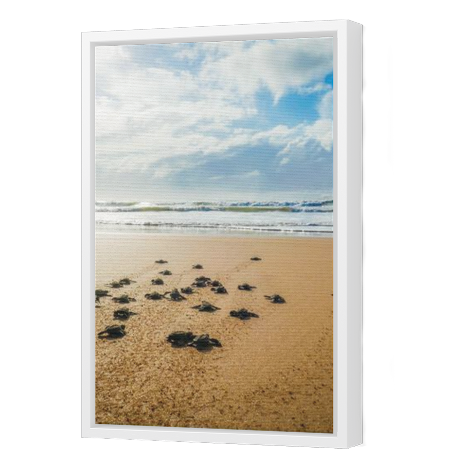 Thumbnail for Canvas - White Floating Frame