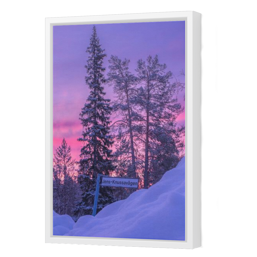 Thumbnail for Canvas - White Floating Frame