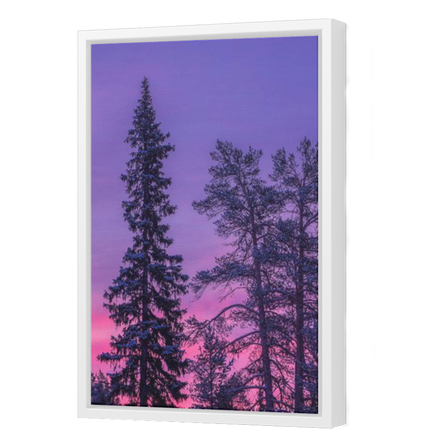 Thumbnail for Canvas - White Floating Frame