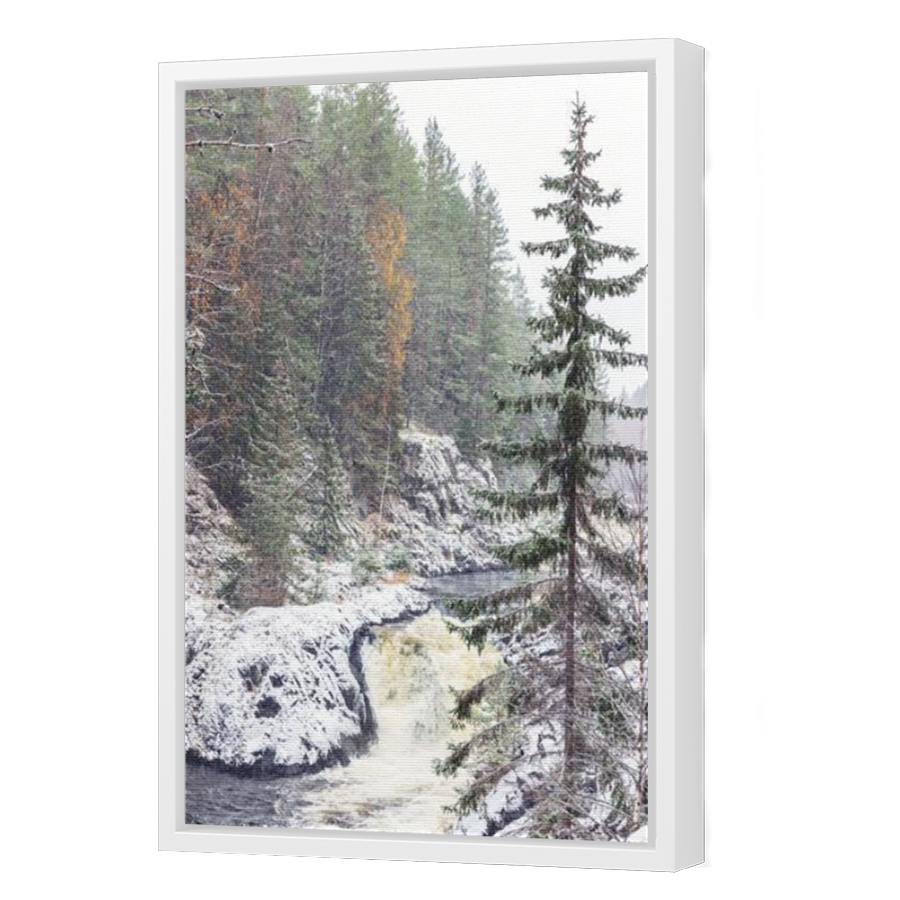 Thumbnail for Canvas - White Floating Frame