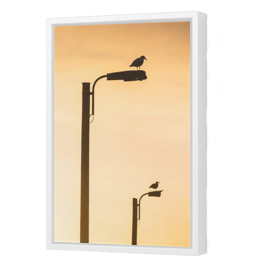 Thumbnail for Canvas - White Floating Frame