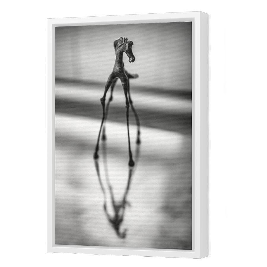Thumbnail for Canvas - White Floating Frame