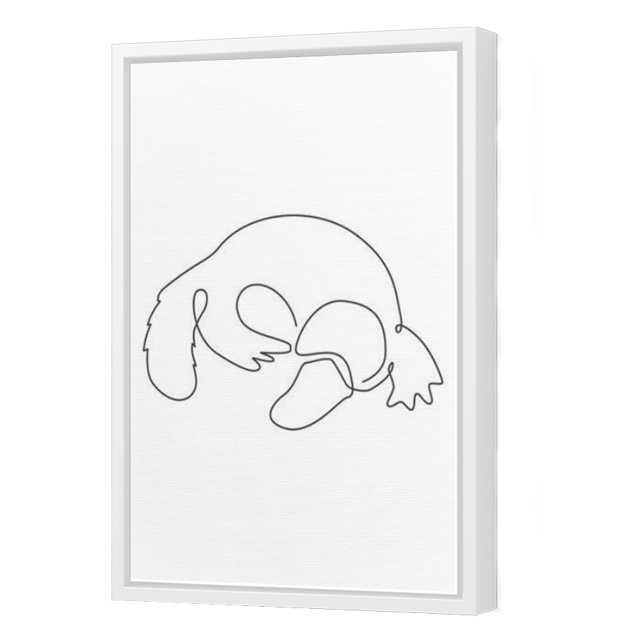 Thumbnail for Canvas - White Floating Frame