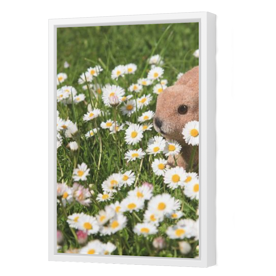 Thumbnail for Canvas - White Floating Frame