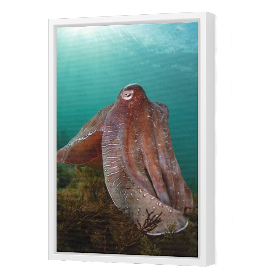 Thumbnail for Canvas - White Floating Frame