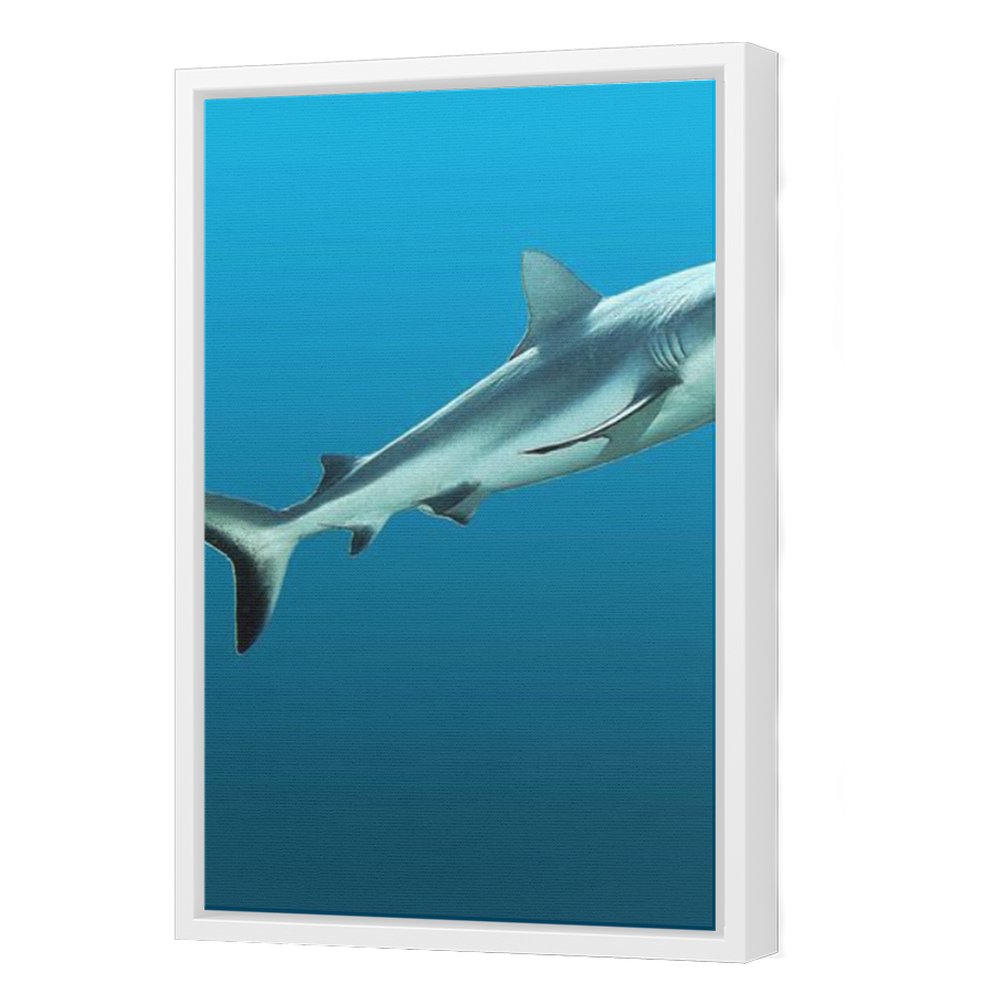 Thumbnail for Canvas - White Floating Frame