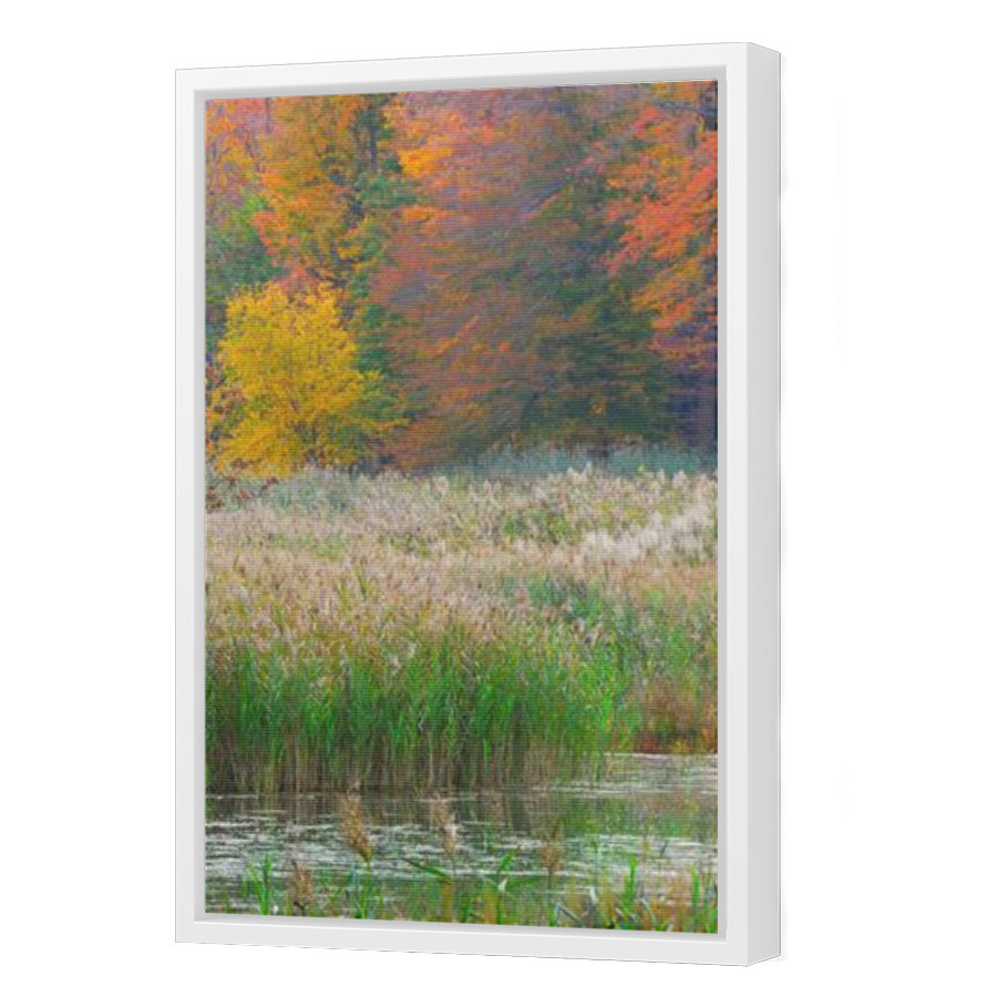 Thumbnail for Canvas - White Floating Frame
