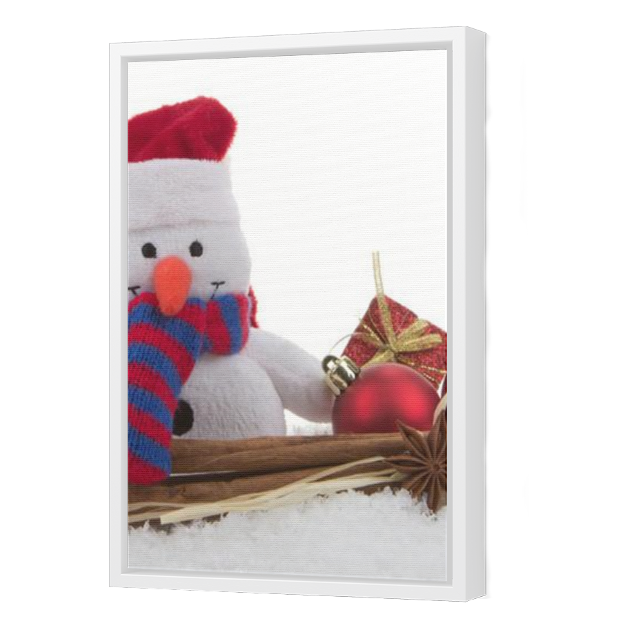 Thumbnail for Canvas - White Floating Frame