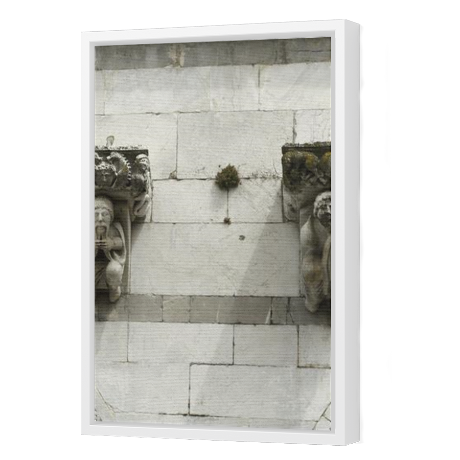 Thumbnail for Canvas - White Floating Frame
