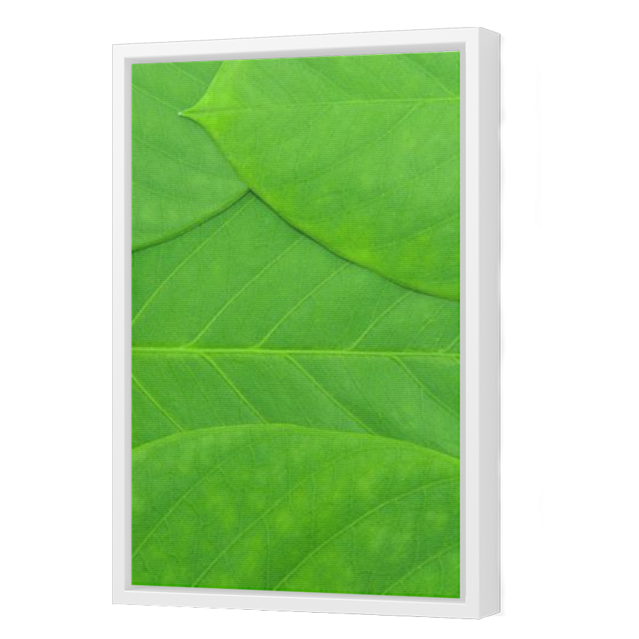 Thumbnail for Canvas - White Floating Frame